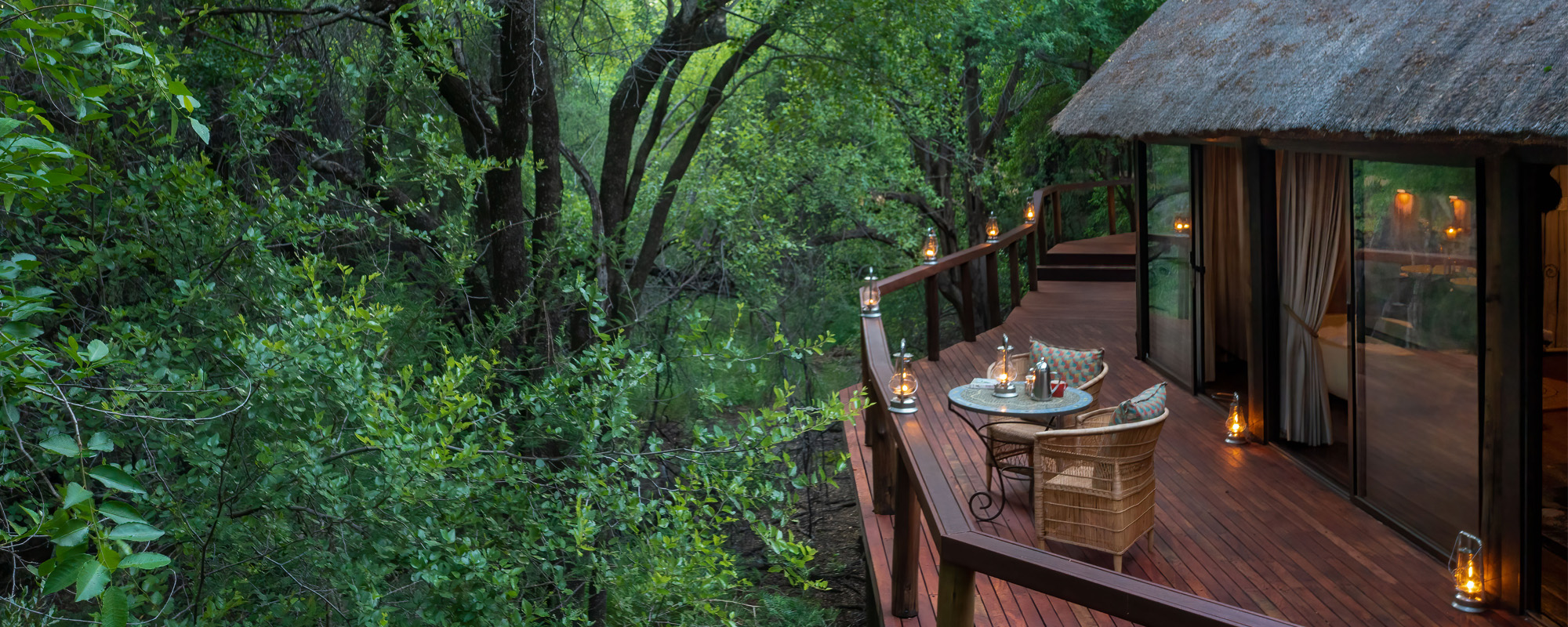 Jacis Tree Lodge Header