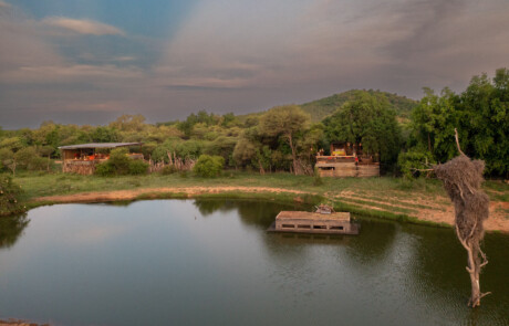 Terrapin Hide 4